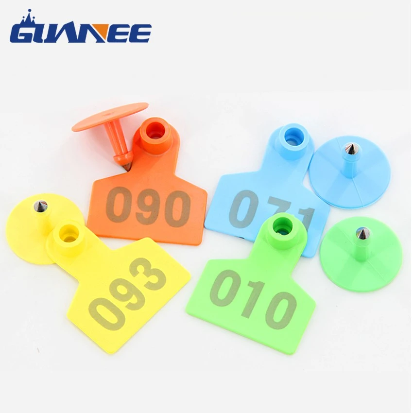 product-850-850 product-850-850