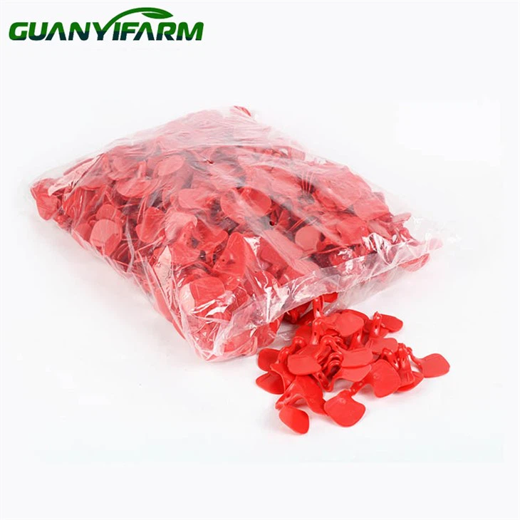 Chicken Plastic Eye Glasses