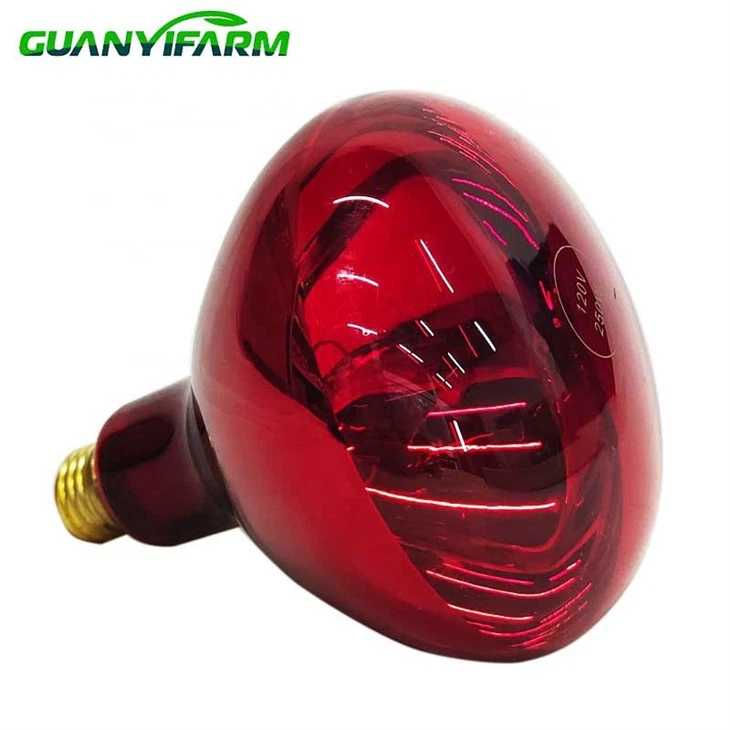 Food Insulation Infrared Bulb