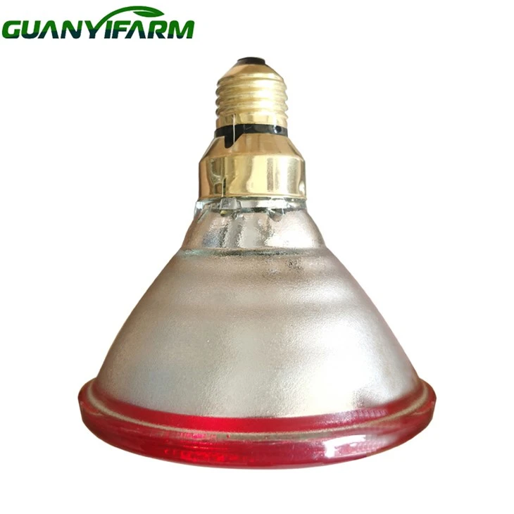 Ampoule chauffante rouge pour poulets