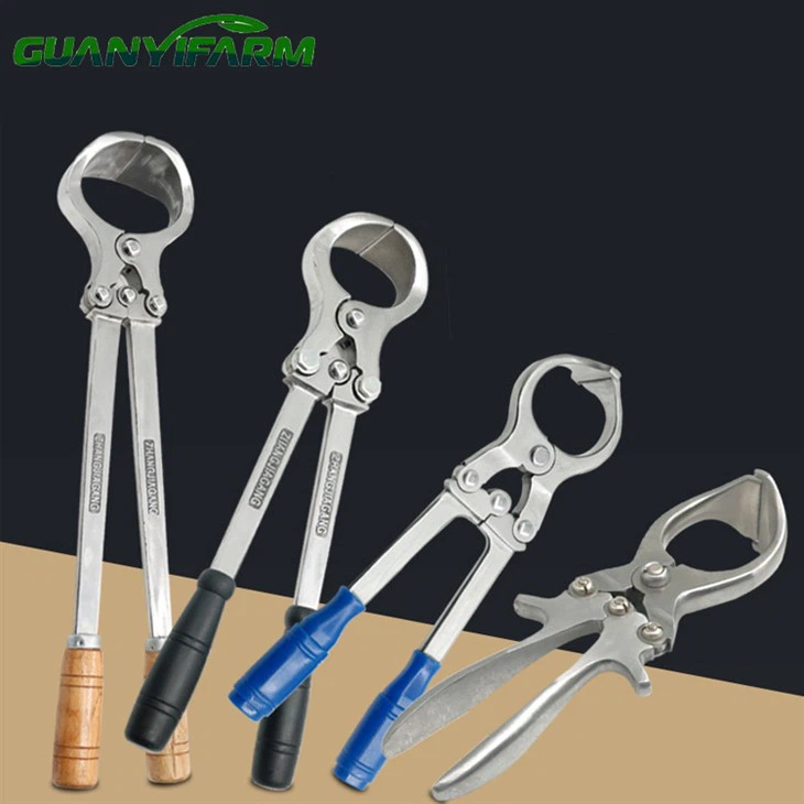 Outil de castration de mouton