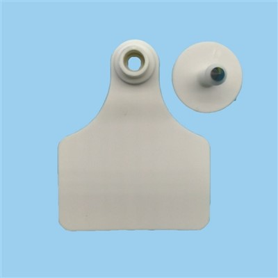 Étiquette d'oreille de vache