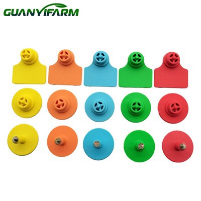 Marques d'oreille Cochon