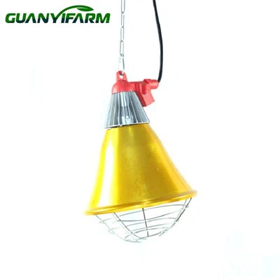Chaleur Lampe Protecteur