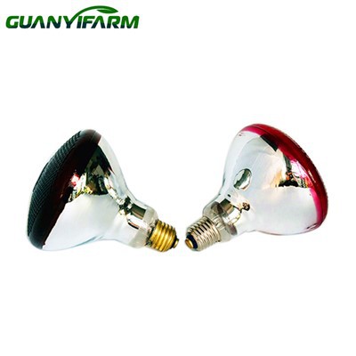 Lampe chauffante d'élevage PAR38