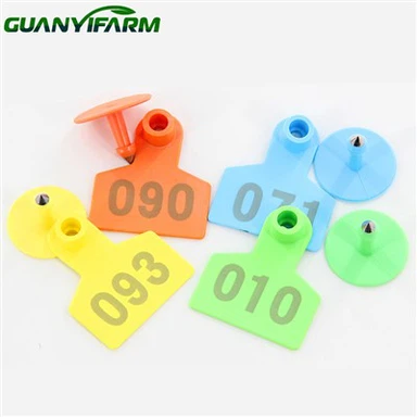 Marques d'oreille de porc