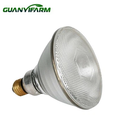 Lampe chauffante de 200 watts