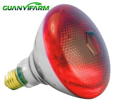 Ampoule chauffante rouge de 250 watts