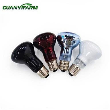 Ampoule de lampe chauffante pour reptiles