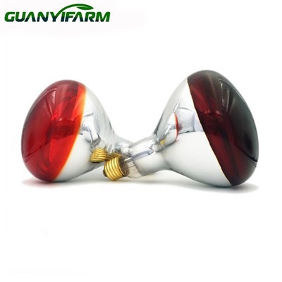 R125 Infrarouge 250w