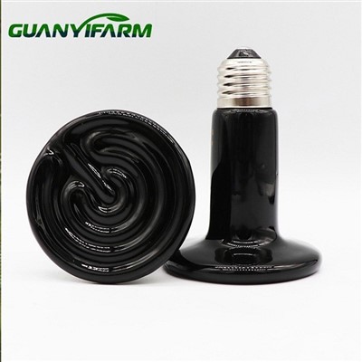 Lampe chauffante en céramique pour reptiles