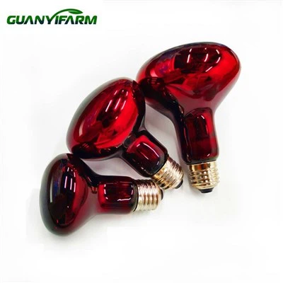 Lampe chauffante pour reptiles